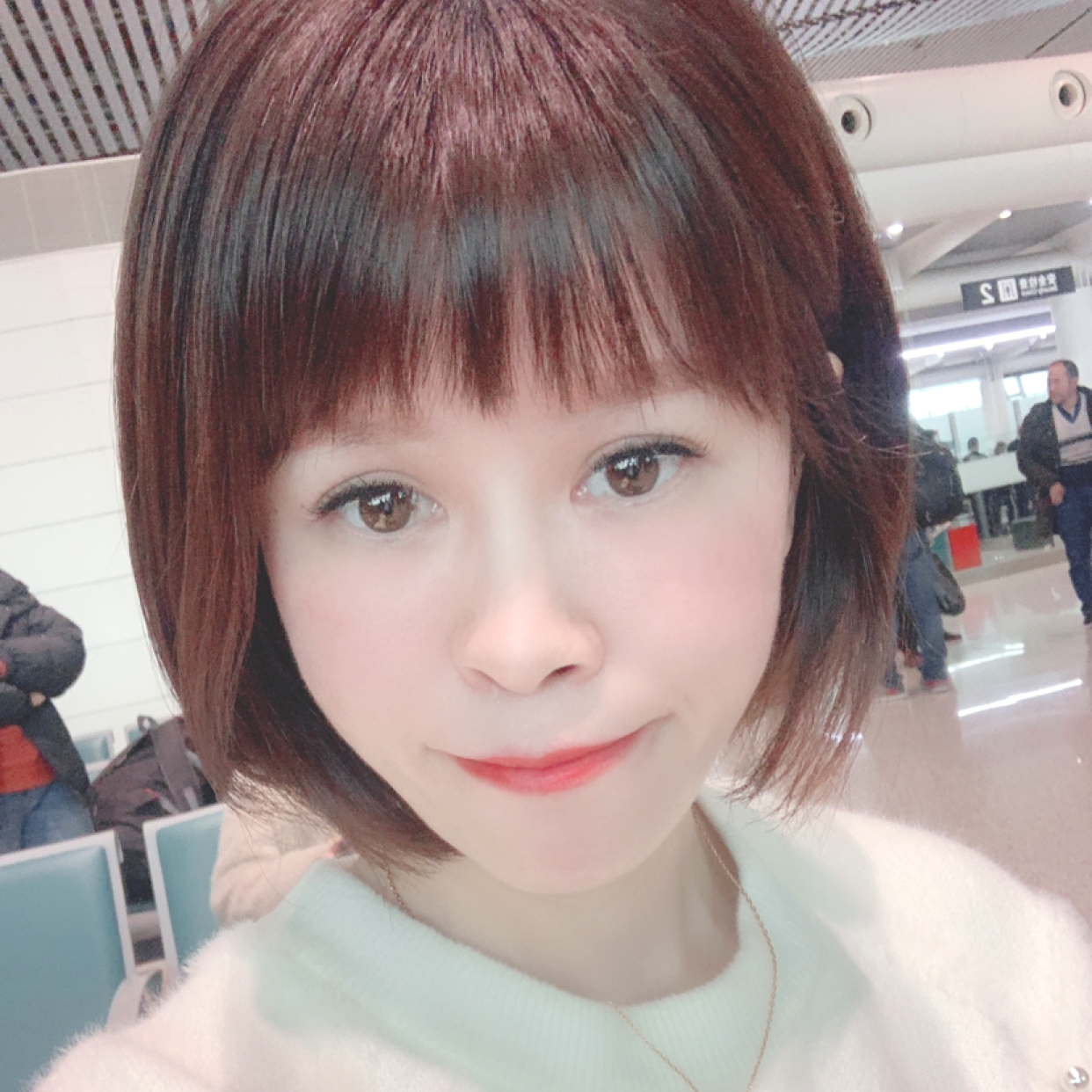 可爱的小野猫的照片