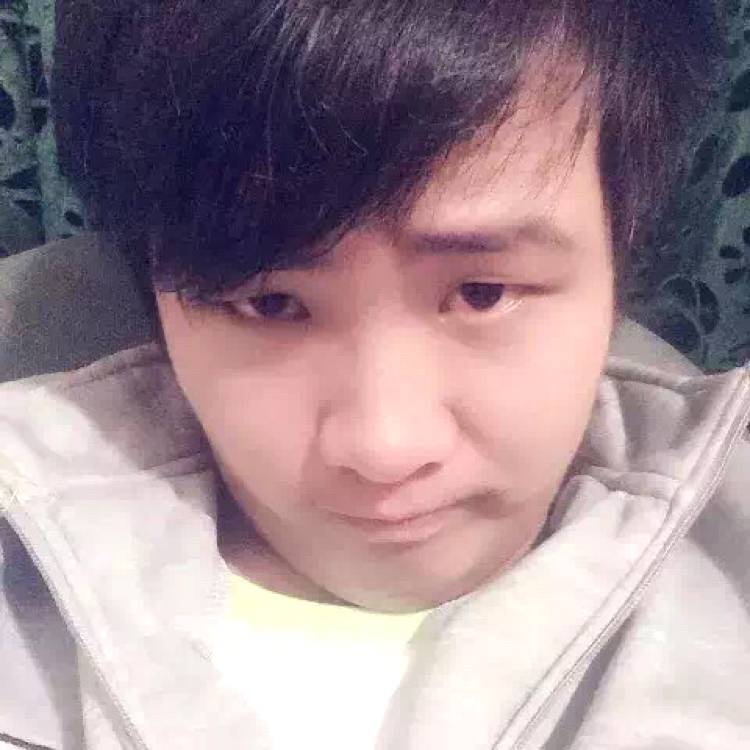 错落和菠萝的照片