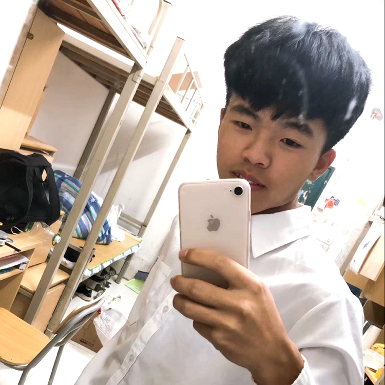 长不大的鲨鱼的照片