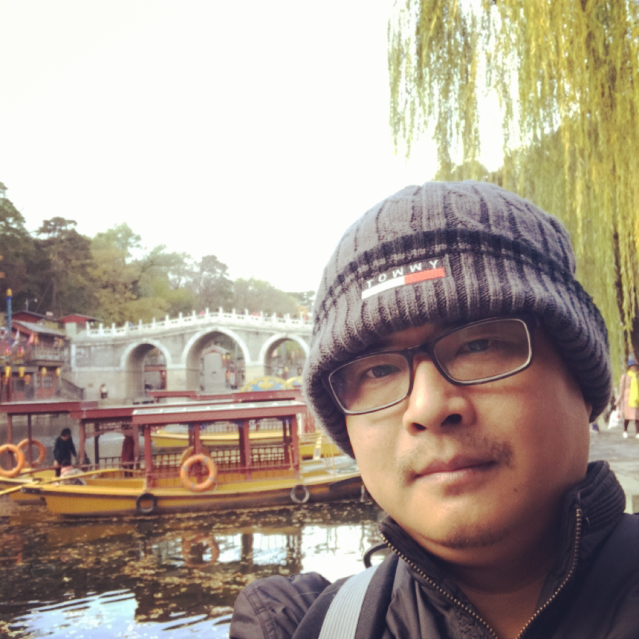 随缘随风飘散的照片