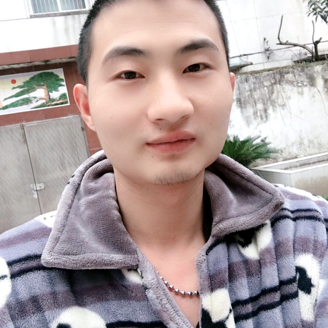 简单爱早晨的照片
