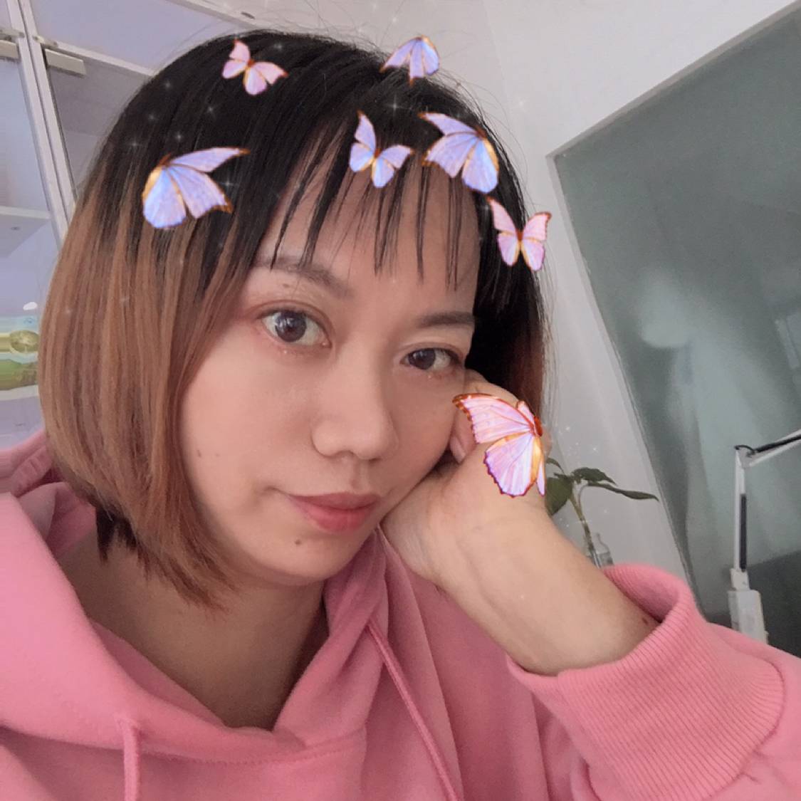 云朵快乐一生的照片