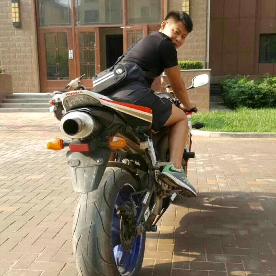 小鸽子吃醋绵密的照片