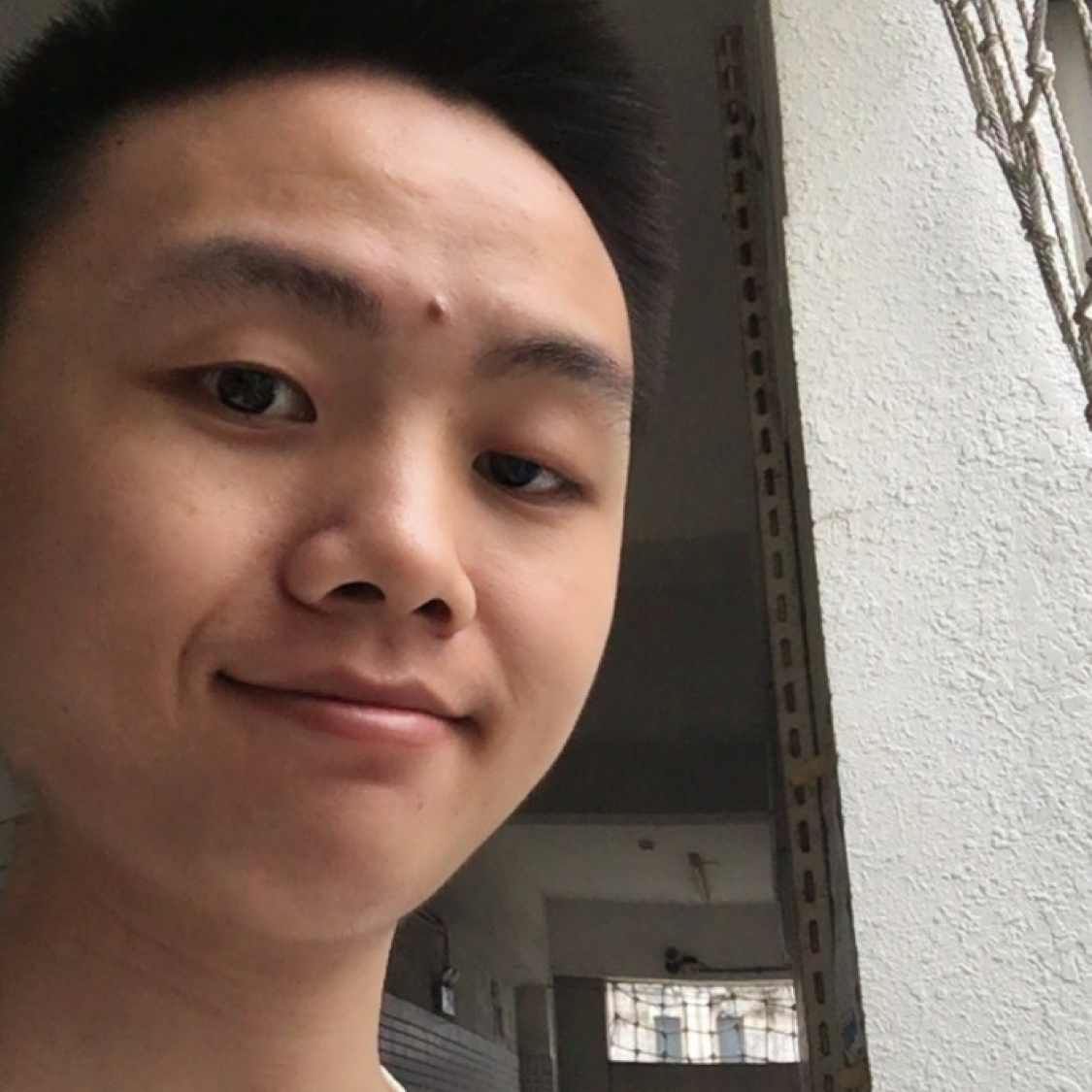 雅七的照片