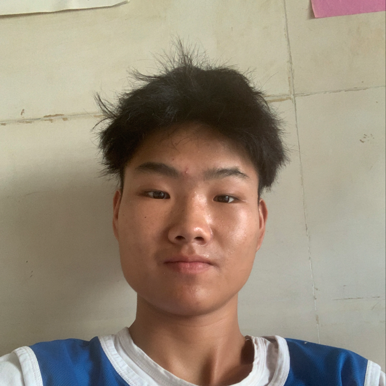 渣渣平的照片