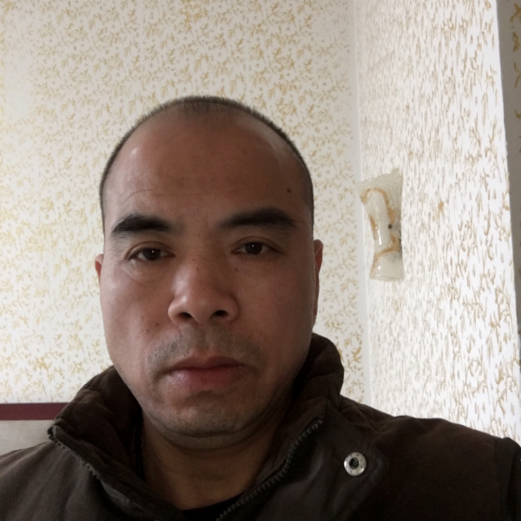 壮观凝眸鸵鸟的照片