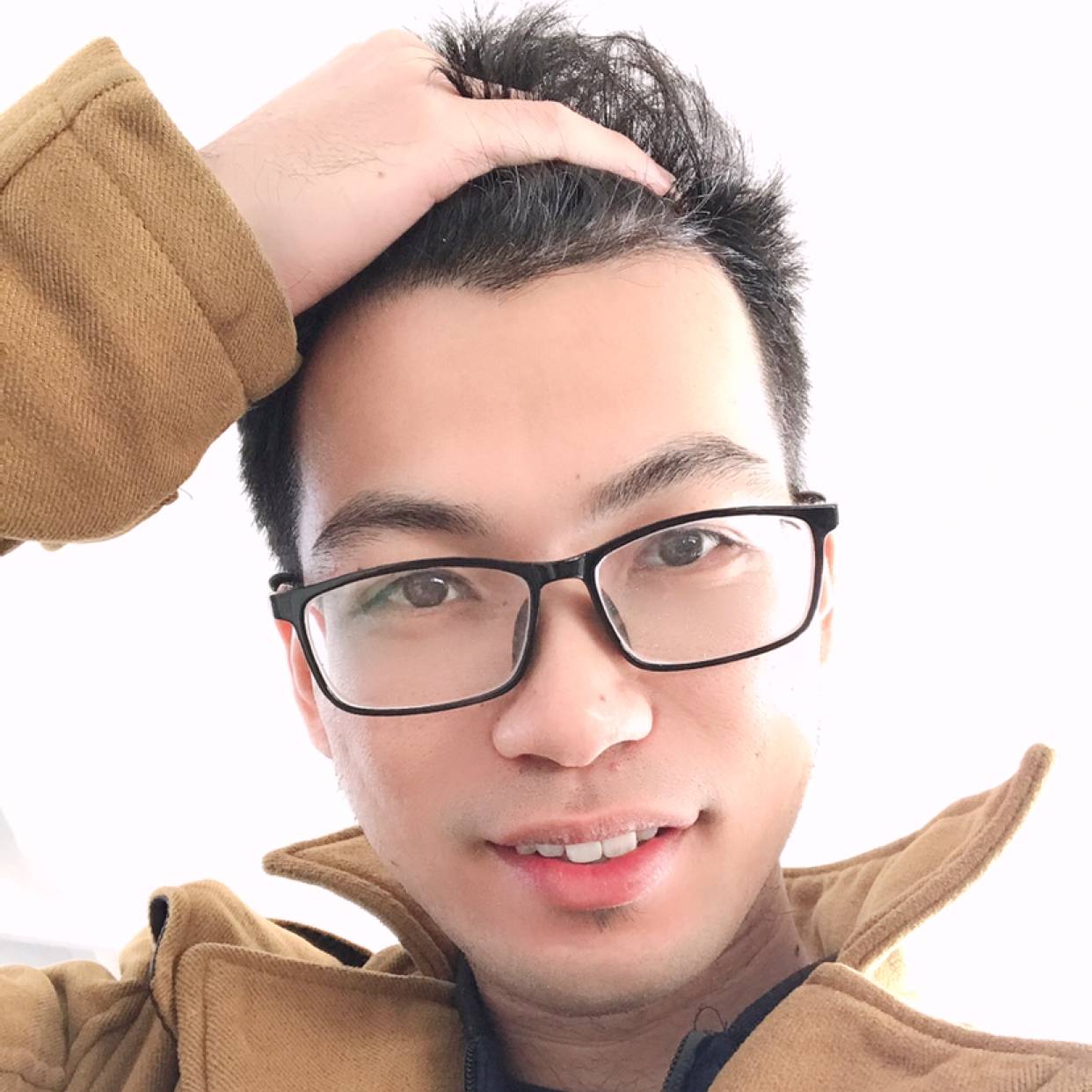 沉静浅吻小海豚的照片