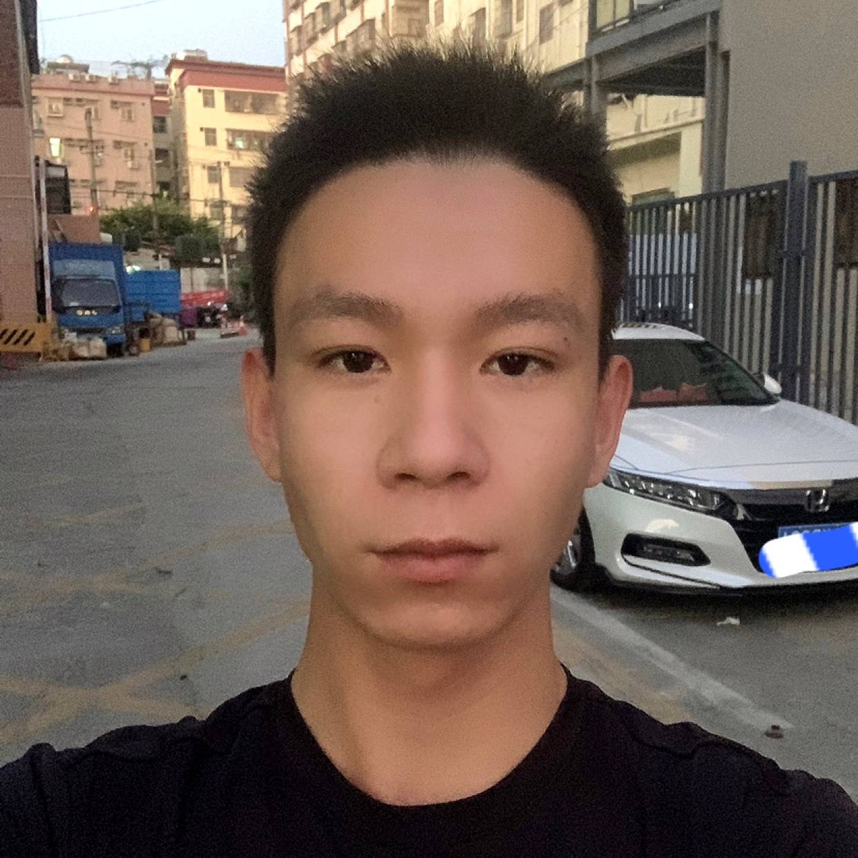 西红柿的照片