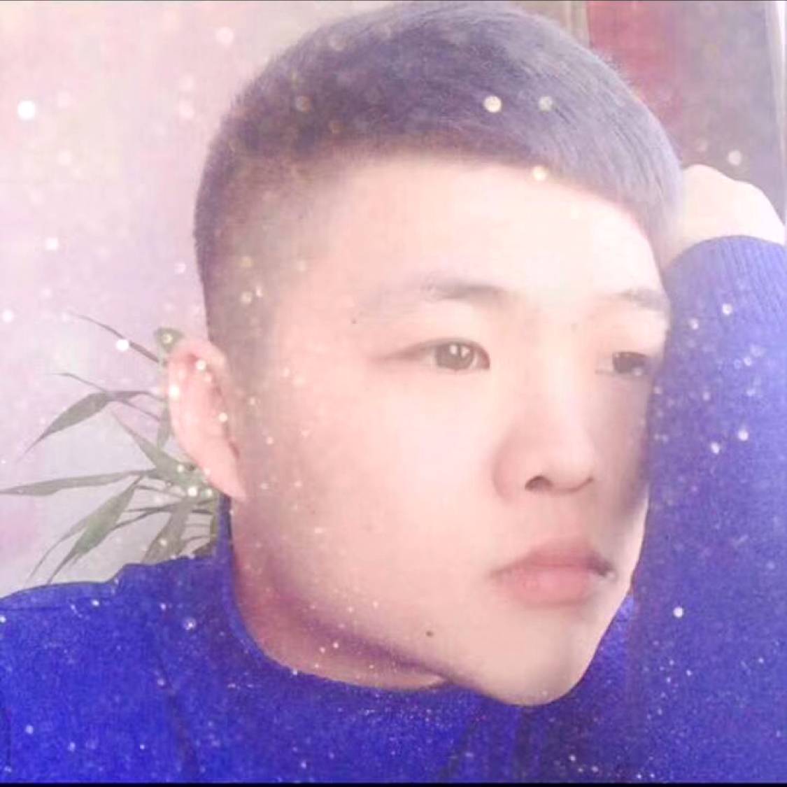 不听话的司机的照片
