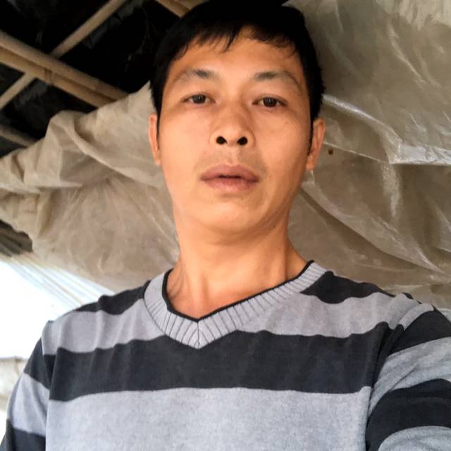 活力深拥小蚂蚁的照片