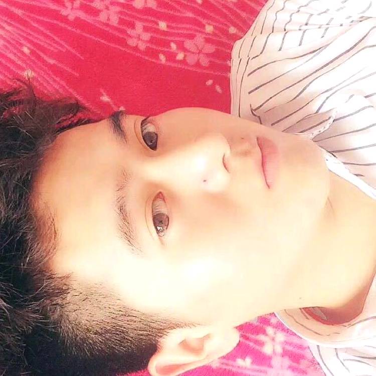 魁梧向薯片的照片