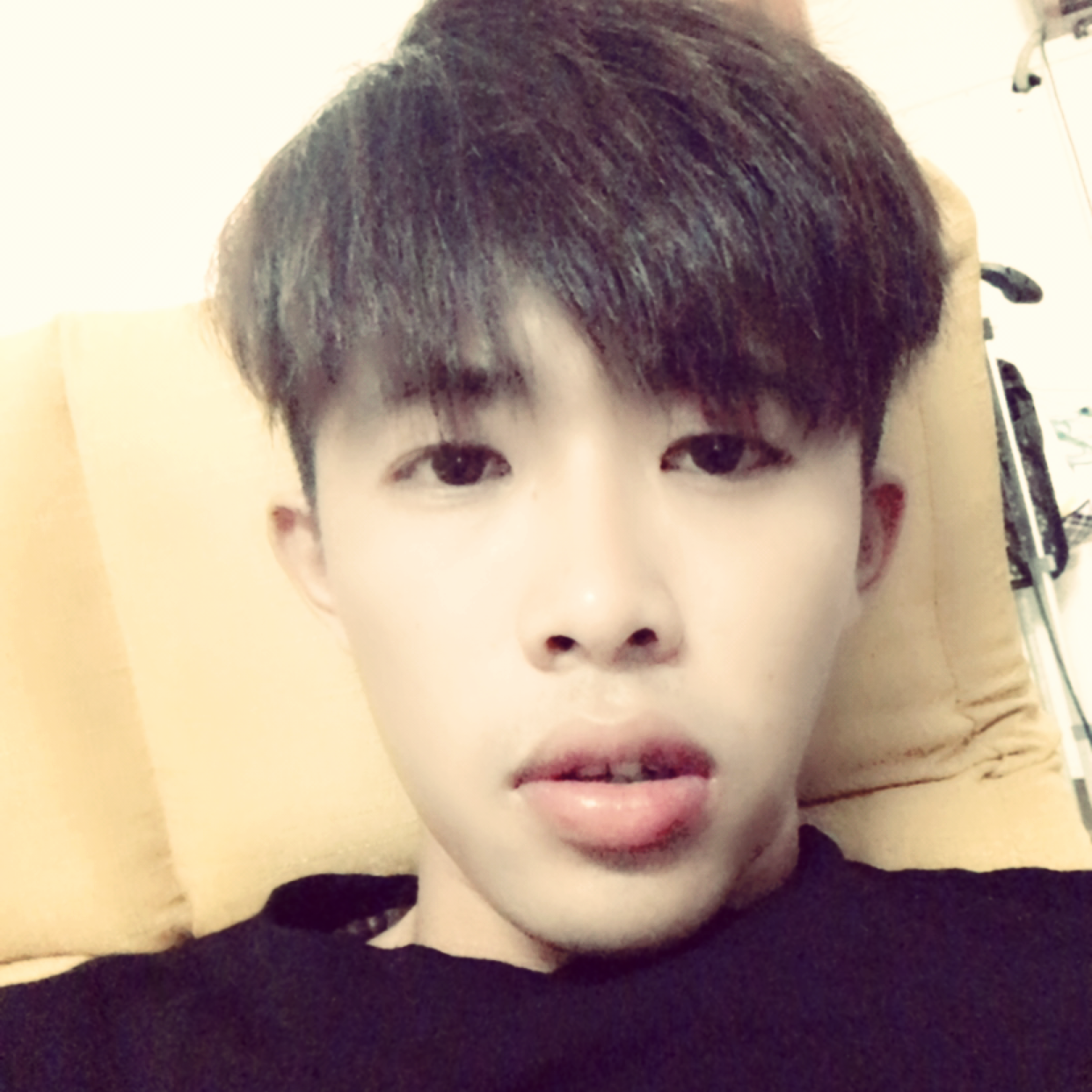 小虾米有合适的照片