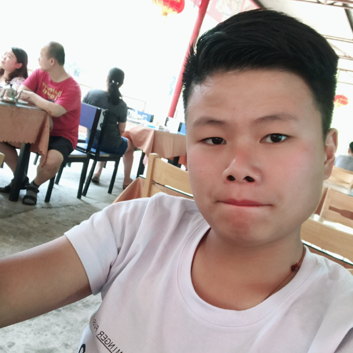 虚心向鸡的照片