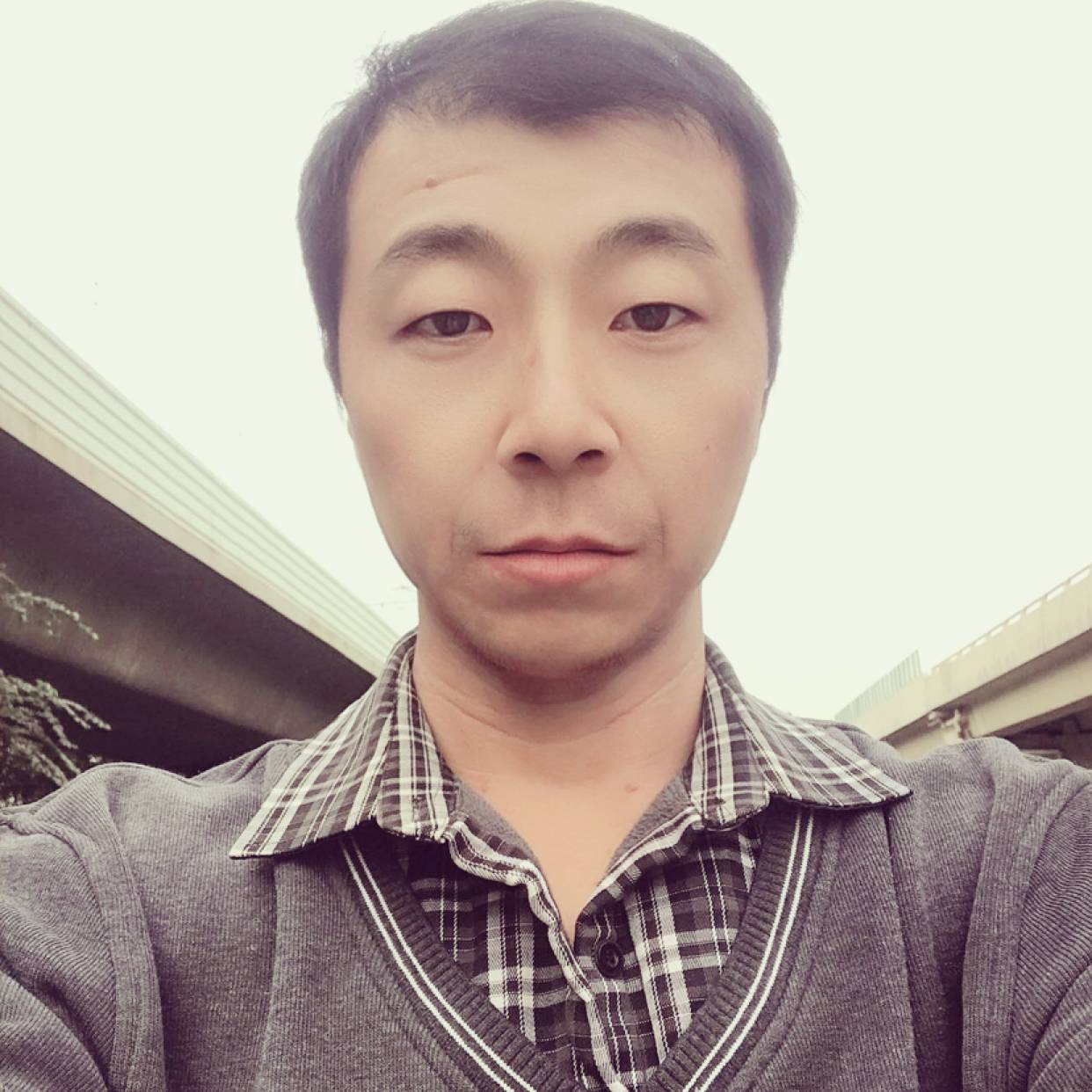 白猫苦恋简单的照片