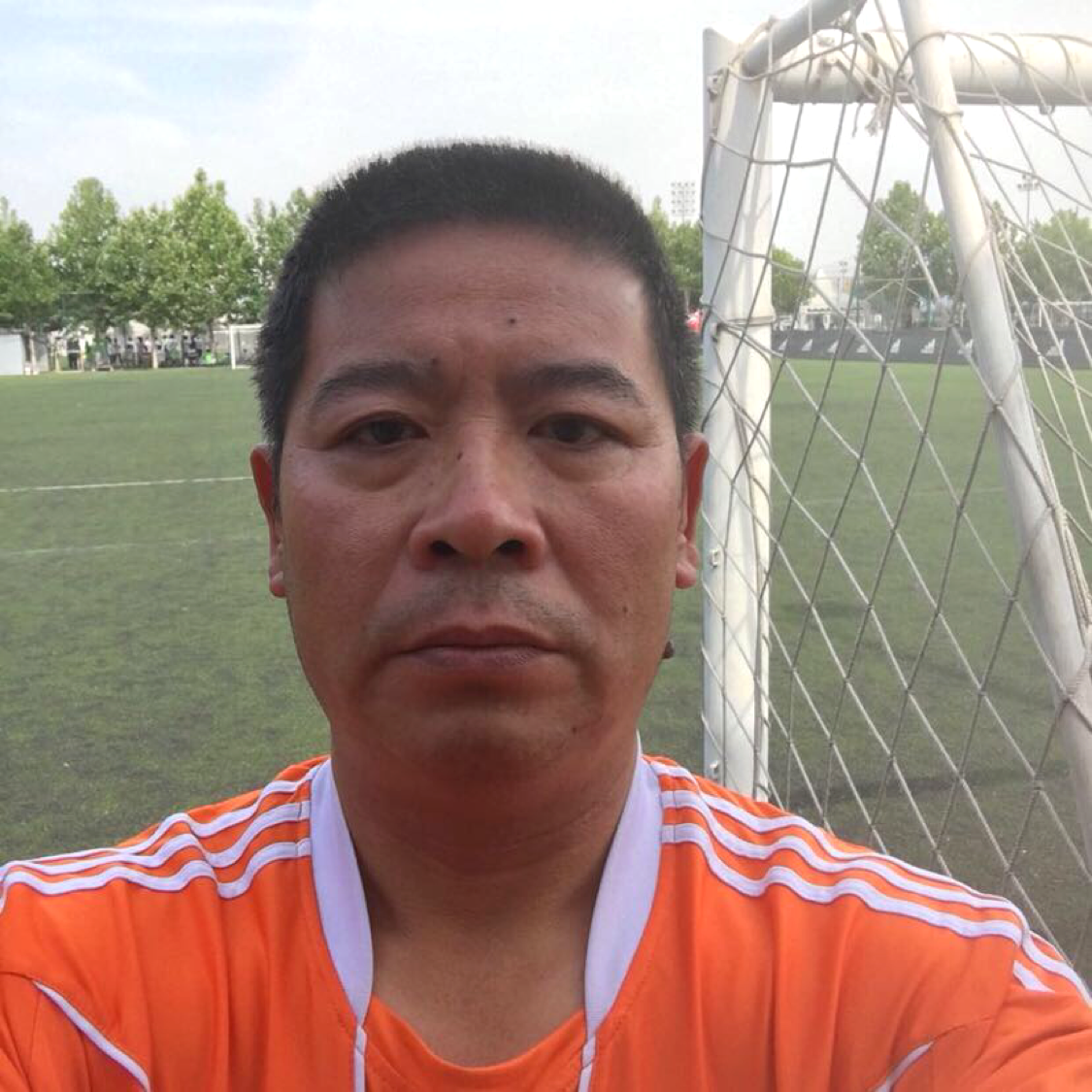 小海豚浅吻幸福的照片