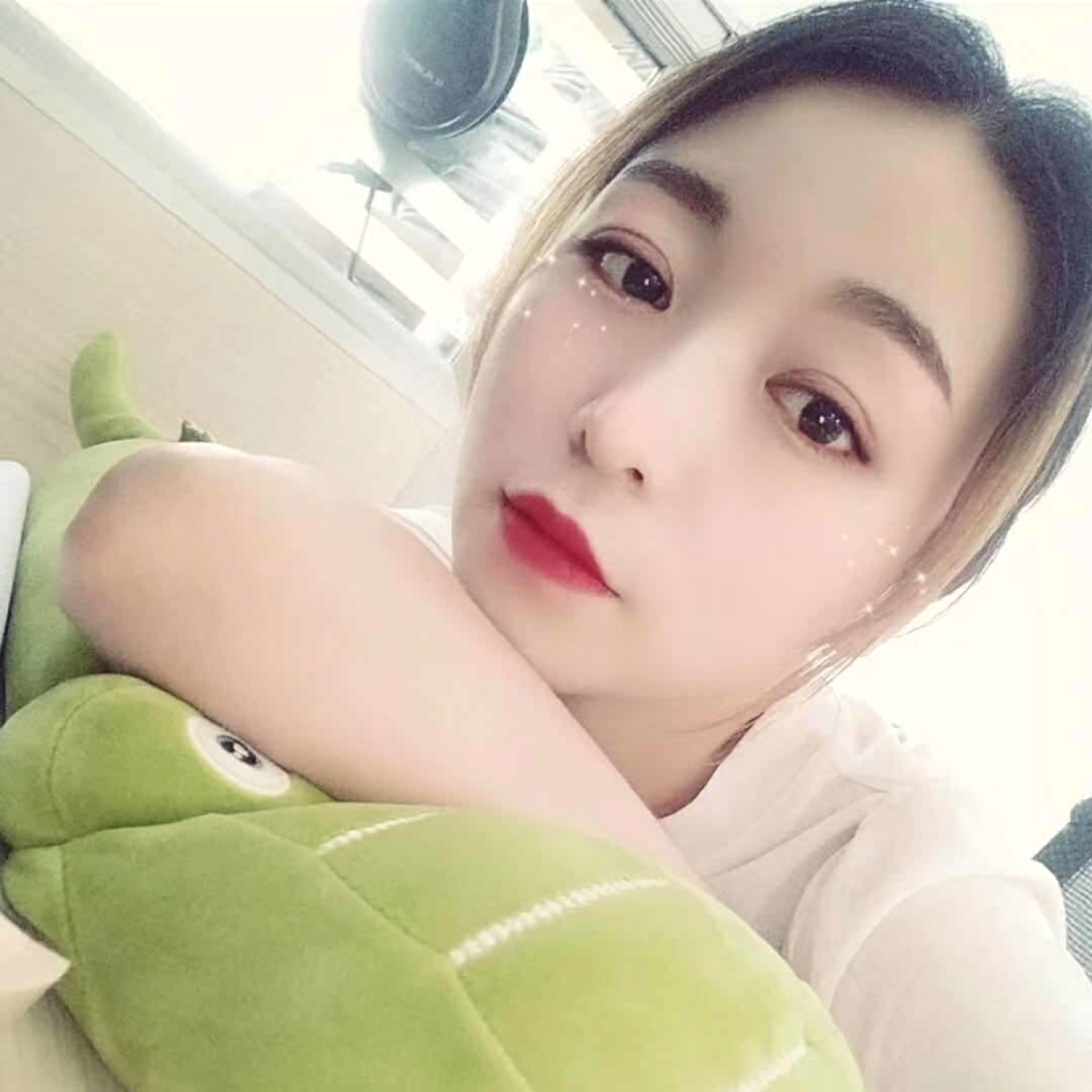 看着太阳的向日葵的照片