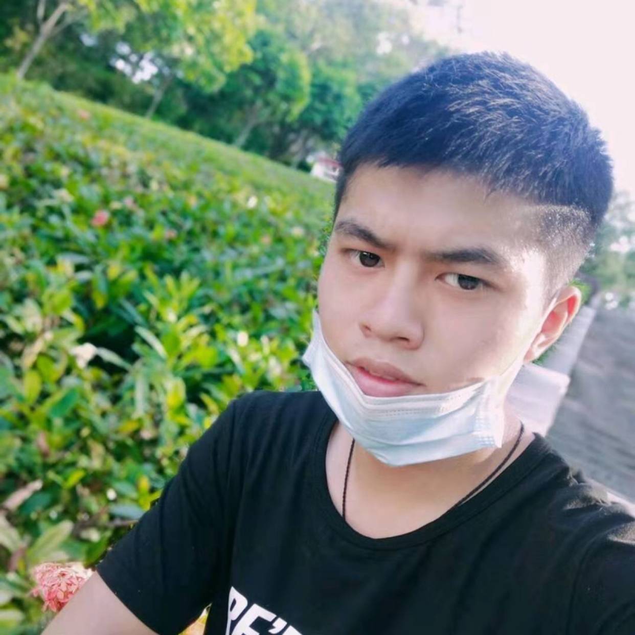 执着说香菇的照片