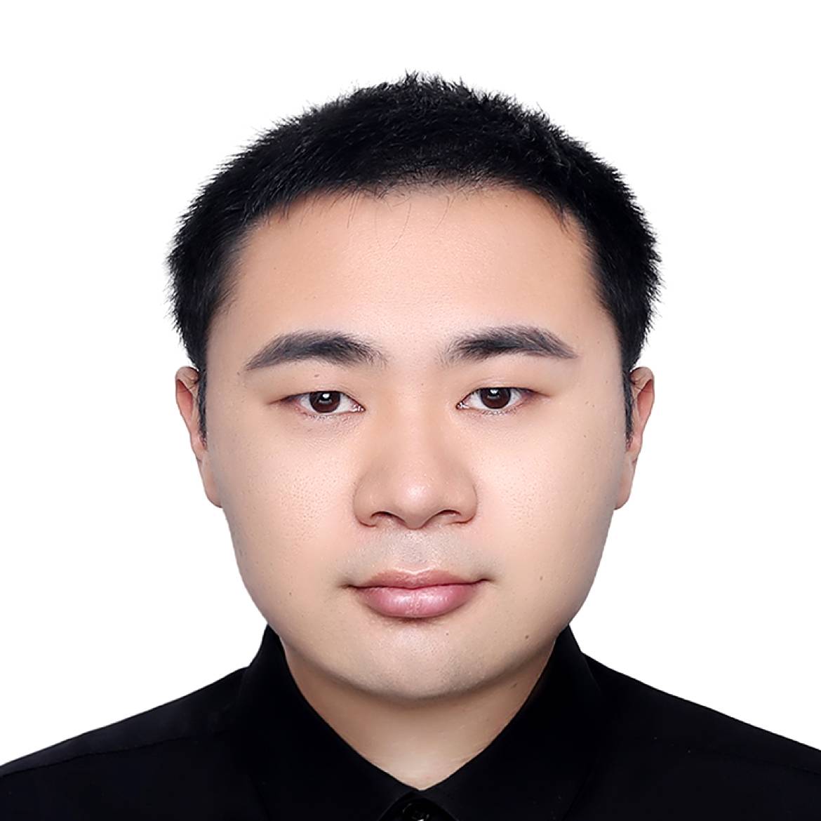 森林里的土豆的照片
