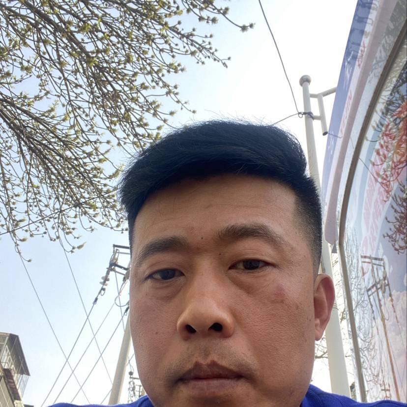 冷风就舒心的照片