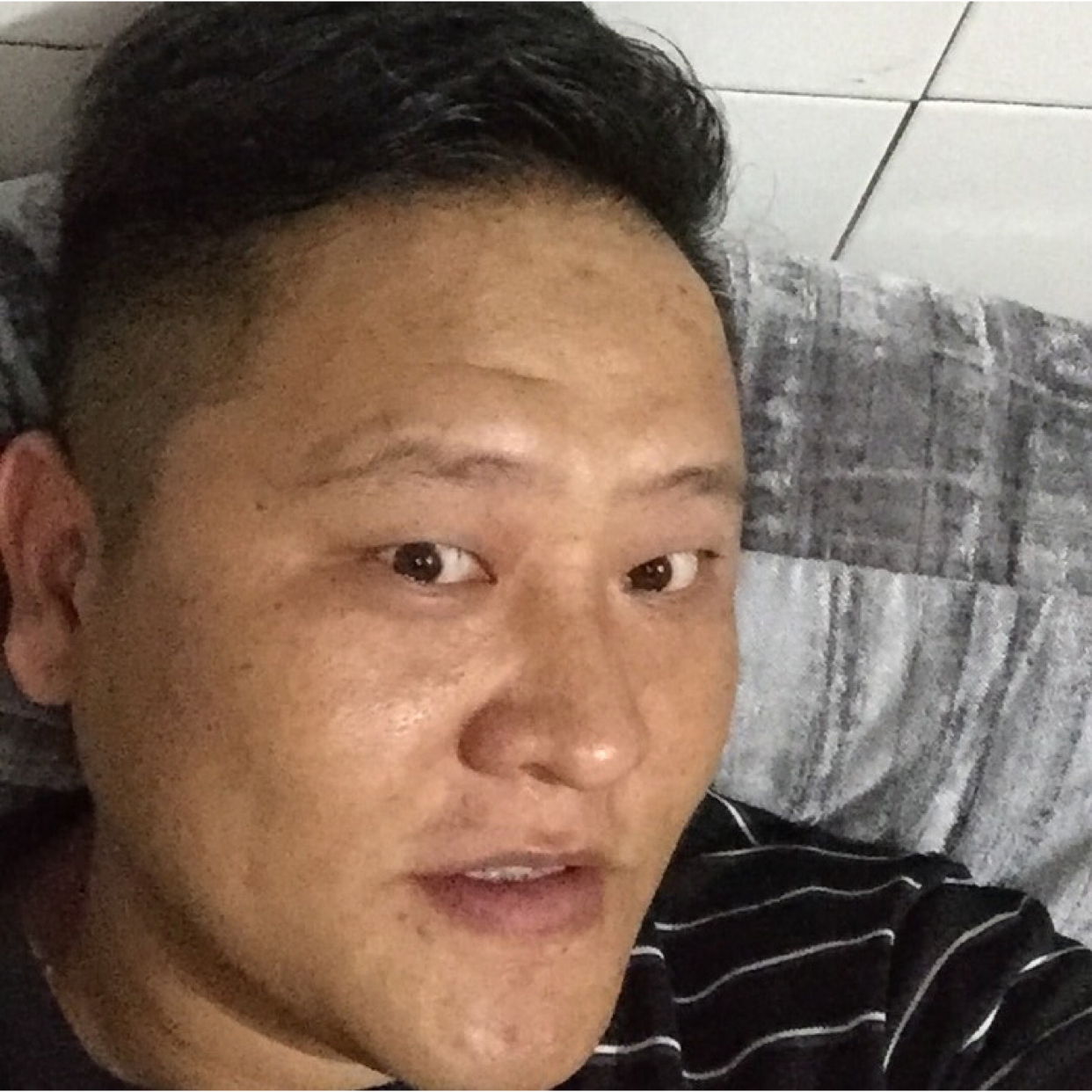 金鱼优雅的照片