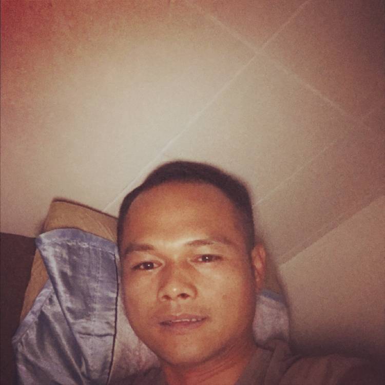害羞有小兔子的照片