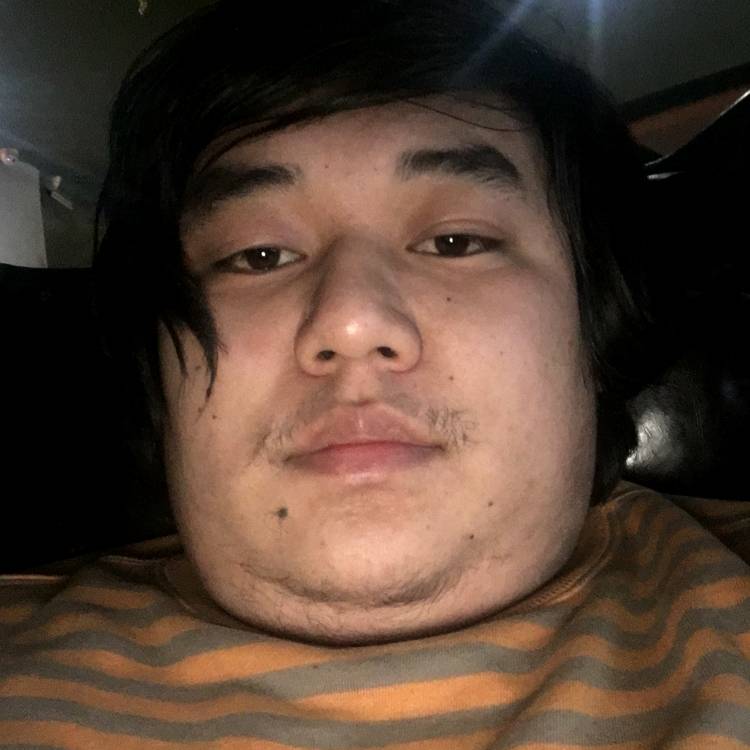动听回首醉月的照片
