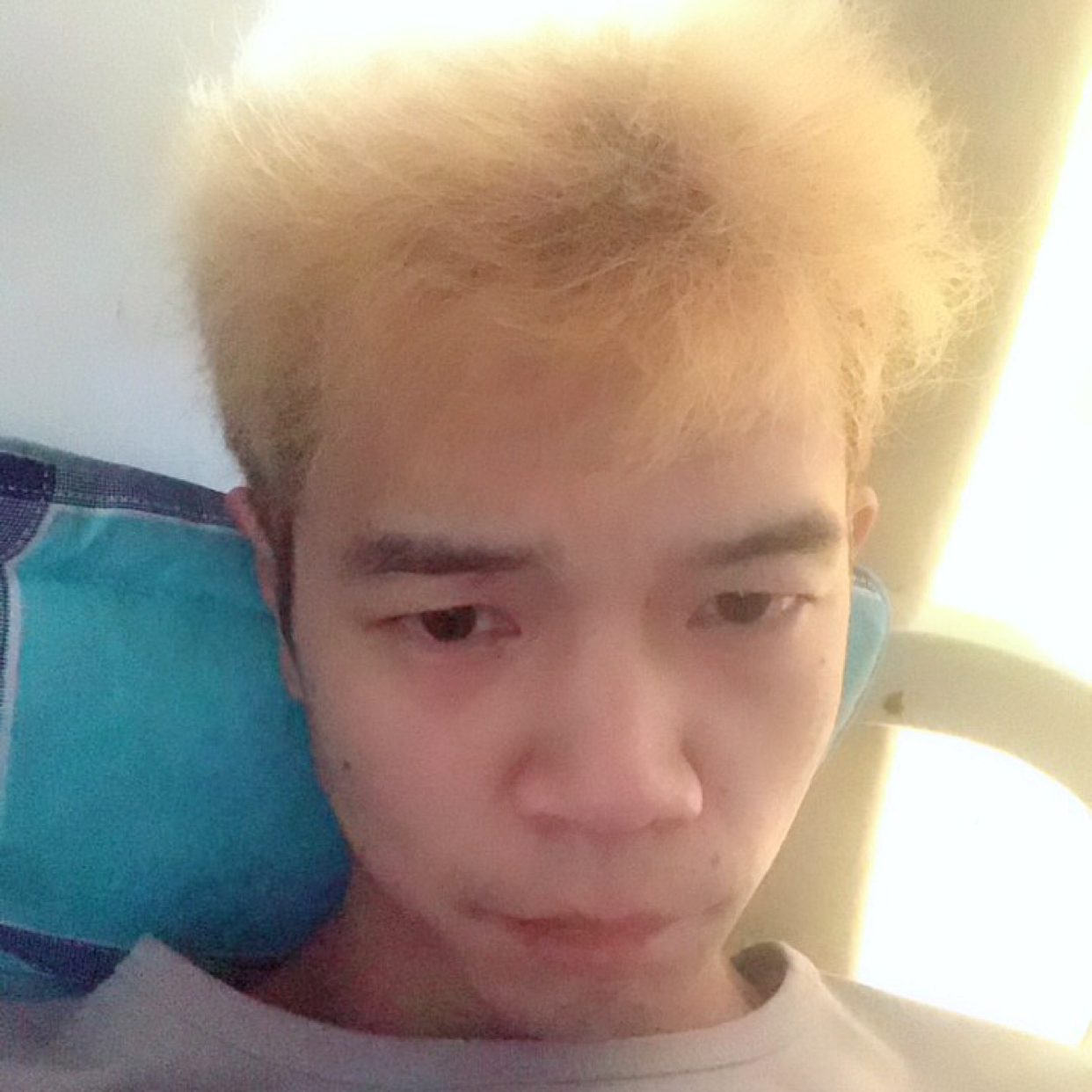 俊秀拾忆森槿的照片