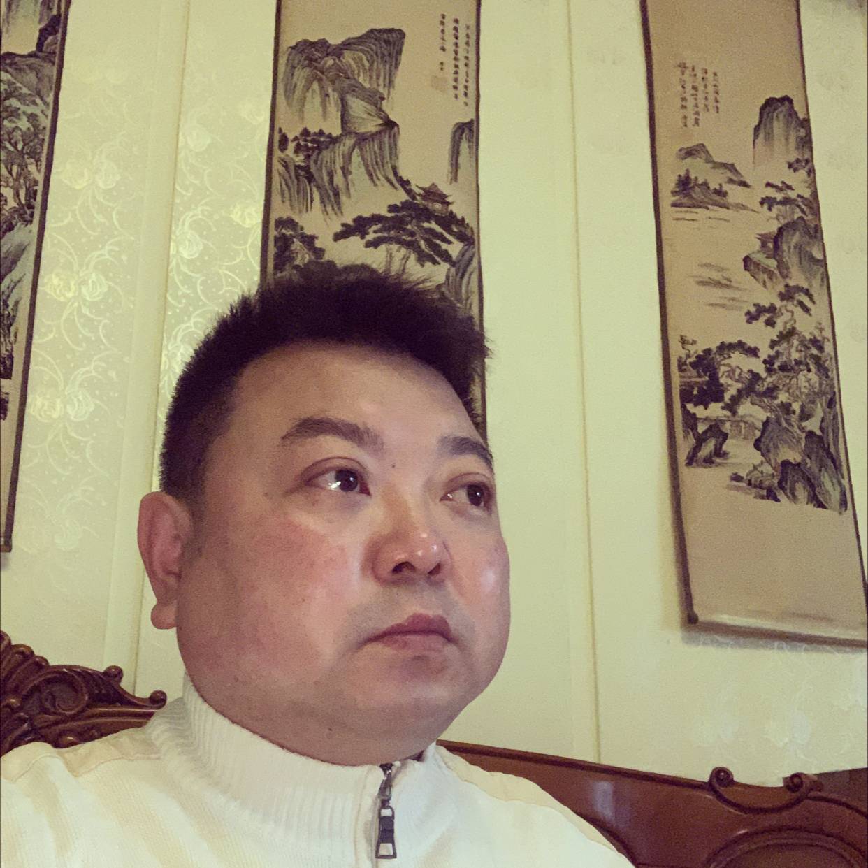 乌骓的照片