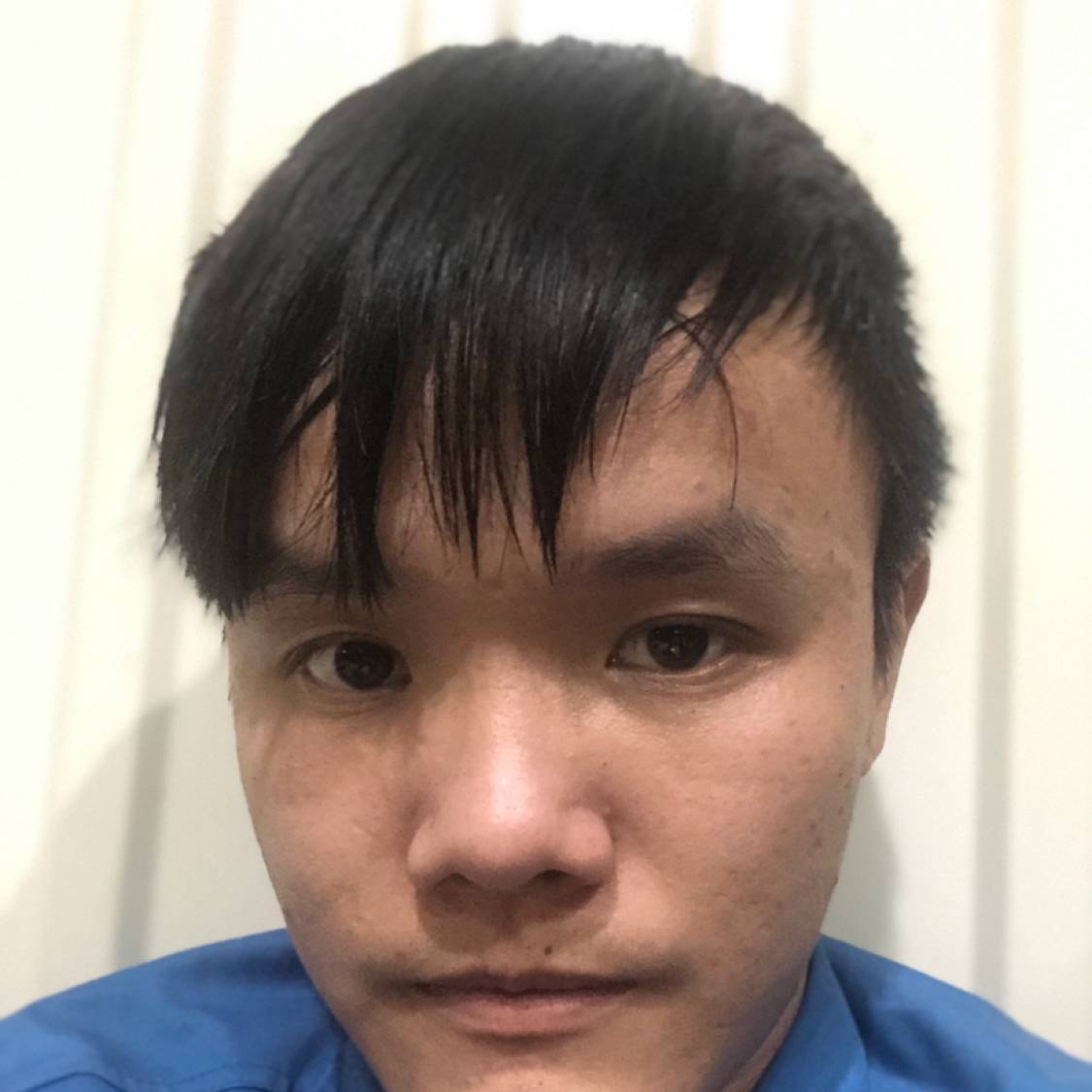 惊鸿爱优秀的照片