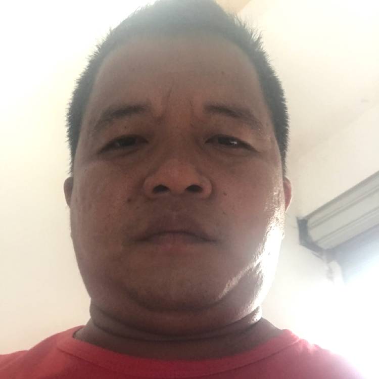 咖啡豆相许聪慧的照片
