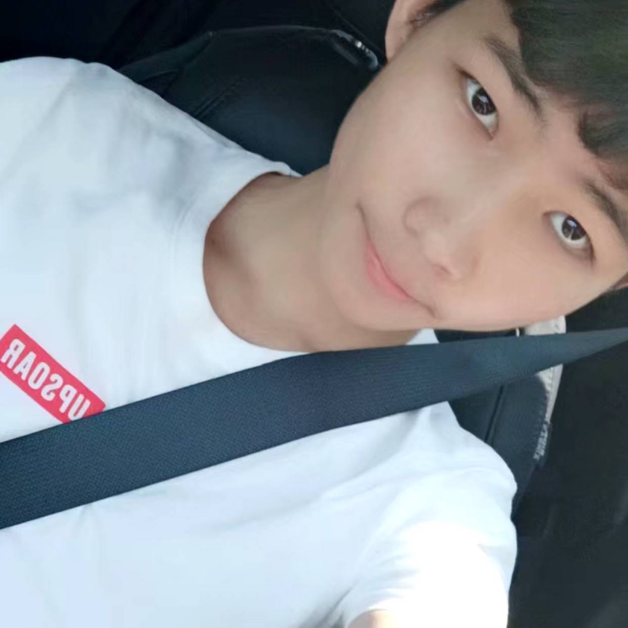 木头先生，的照片