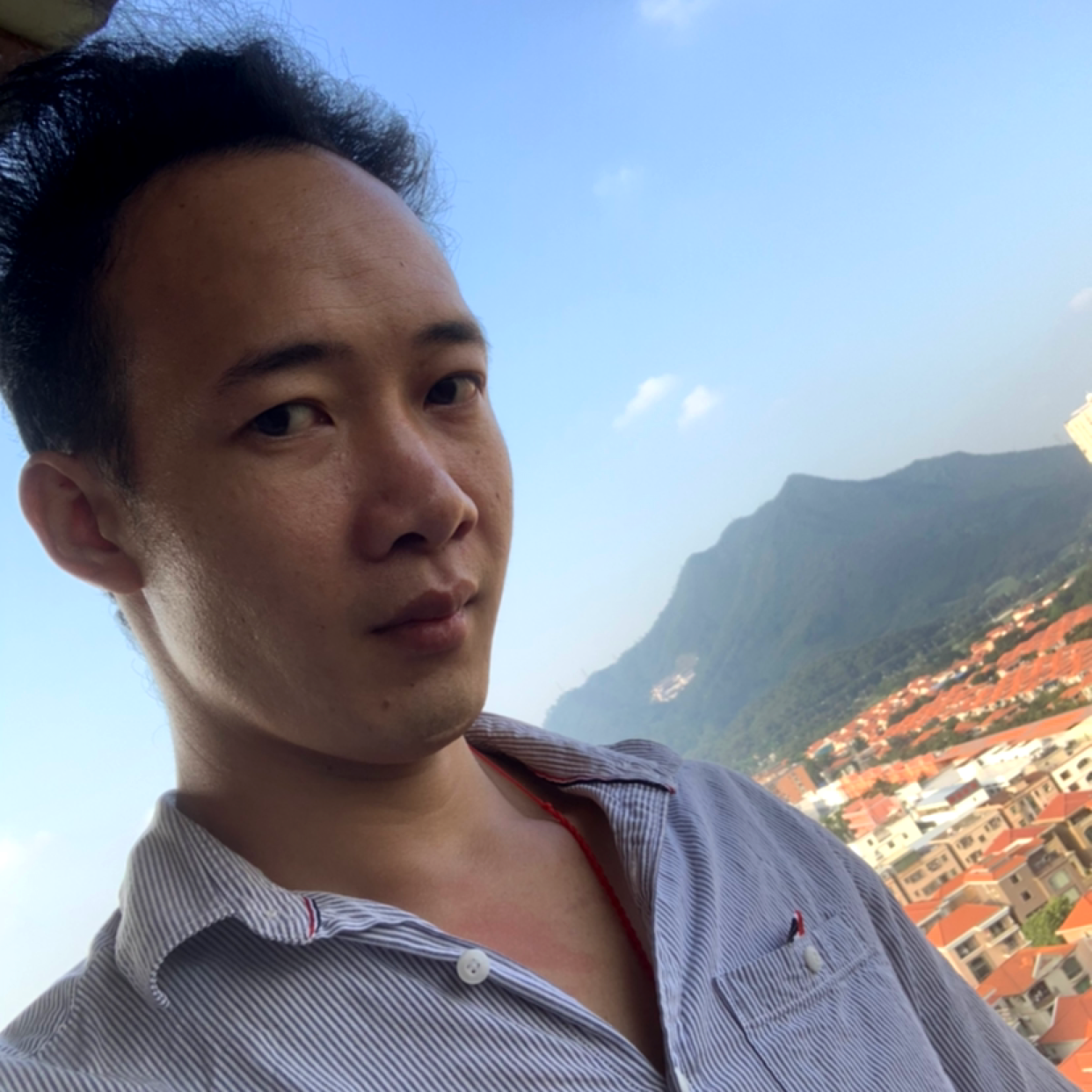 如意迎羊的照片
