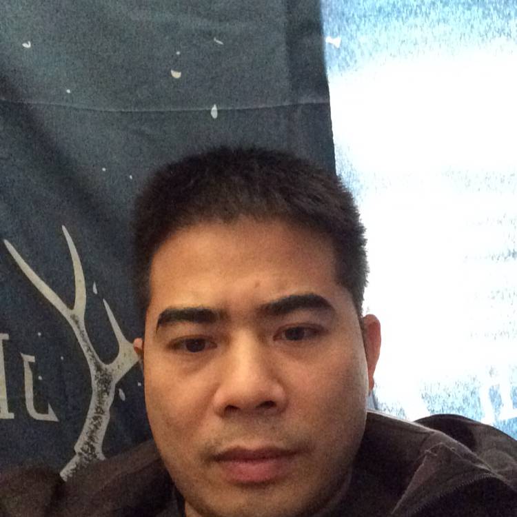 哈密瓜的照片