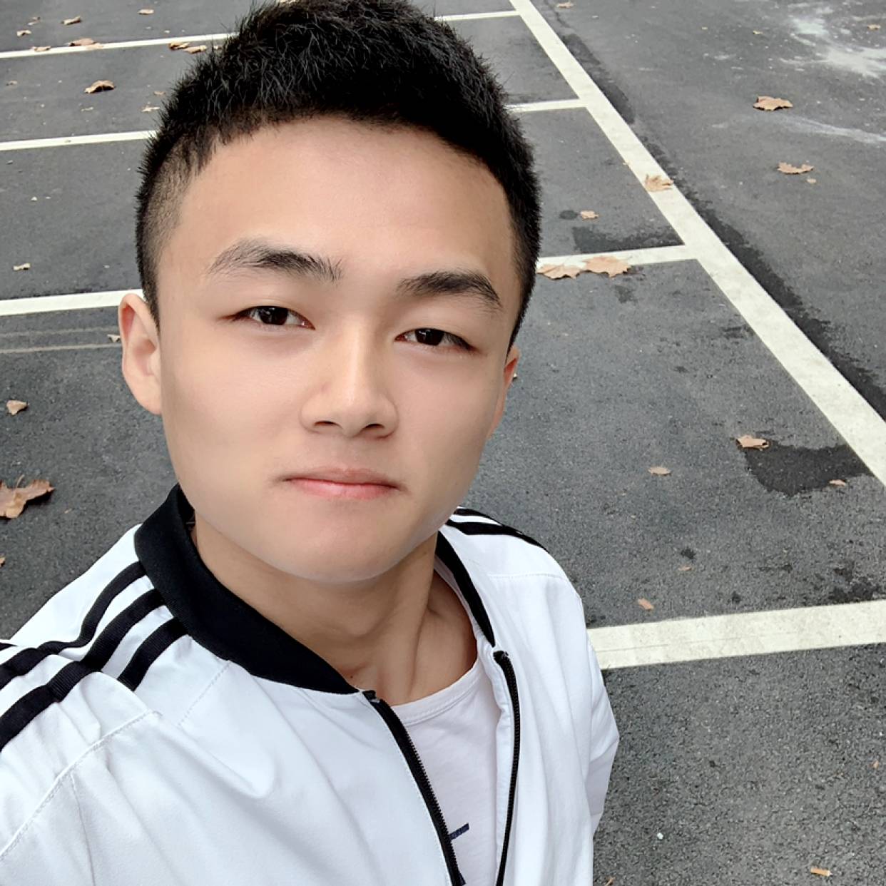 想人陪向秀发的照片