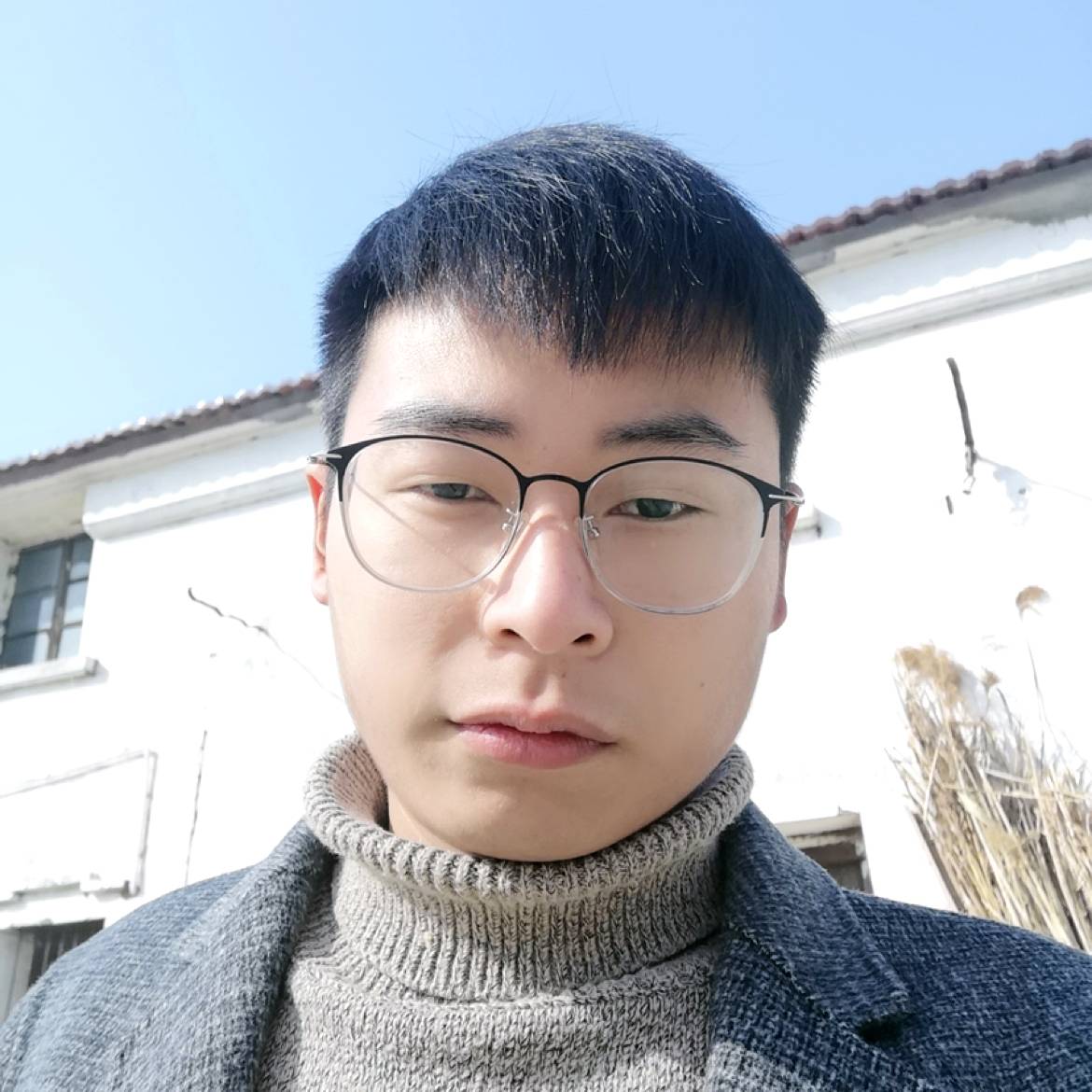 善良回眸大象的照片