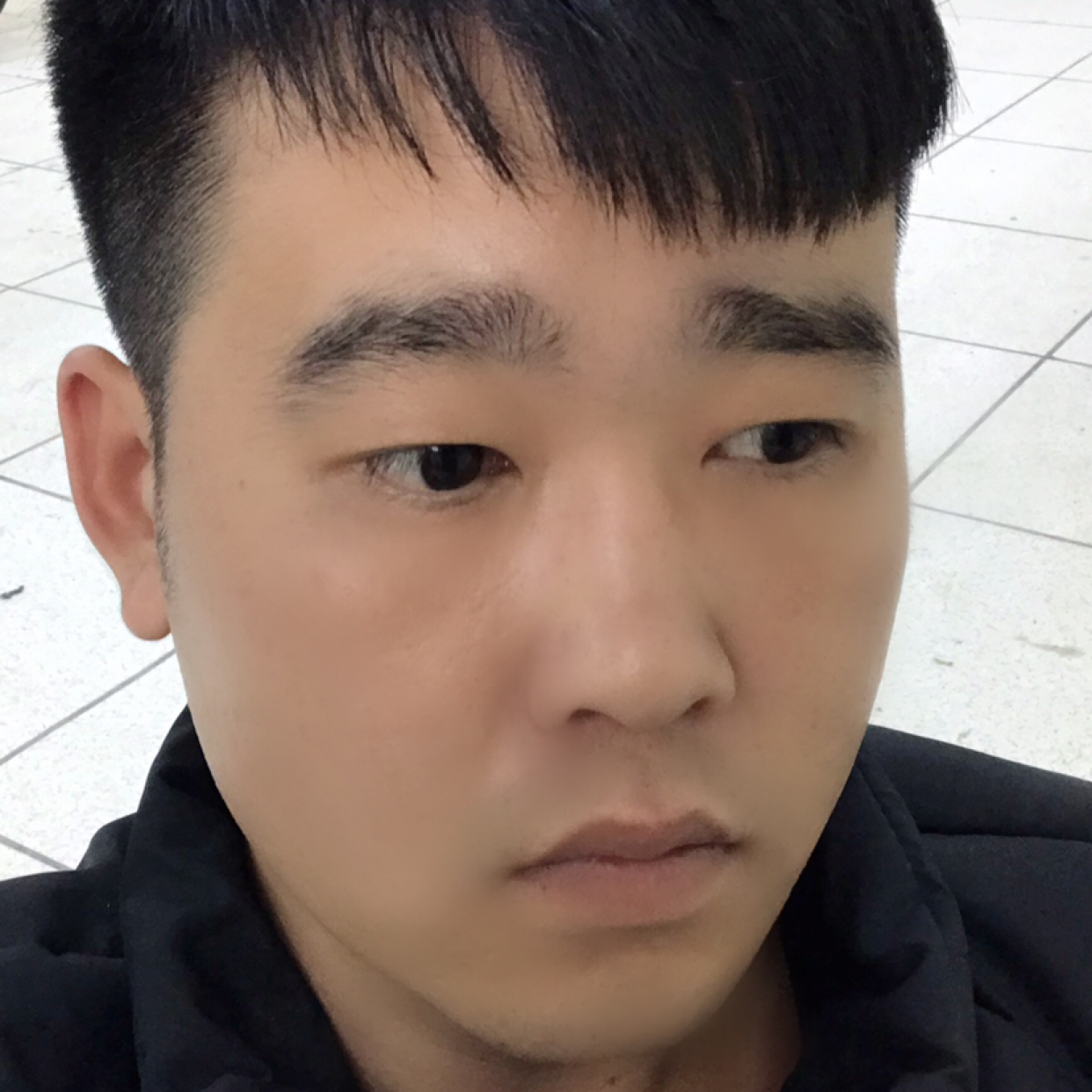 莈訫莈肺的照片