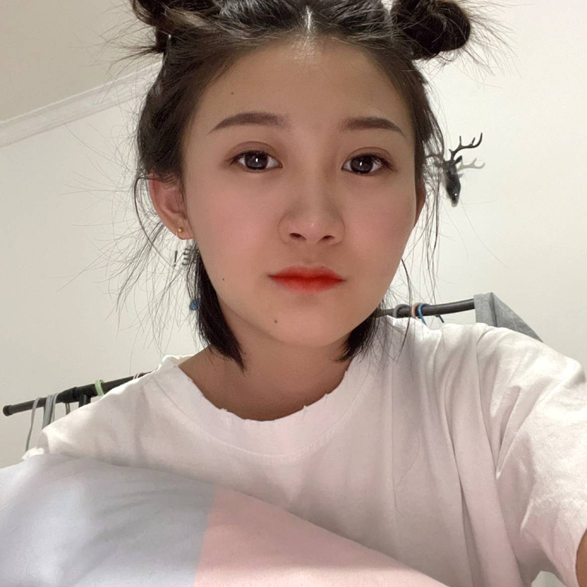 胡萝卜停止欢呼的照片