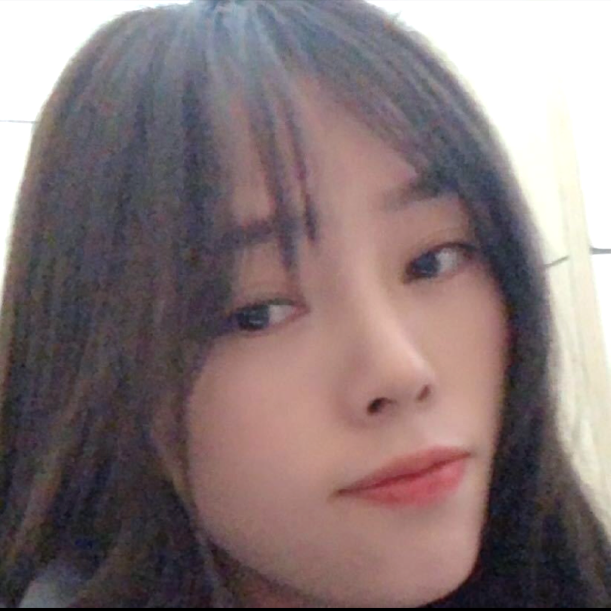 小猫咪爱恋震动的照片