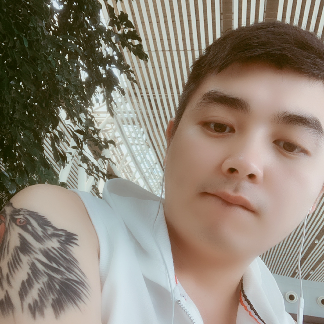 戒不掉的微笑的照片