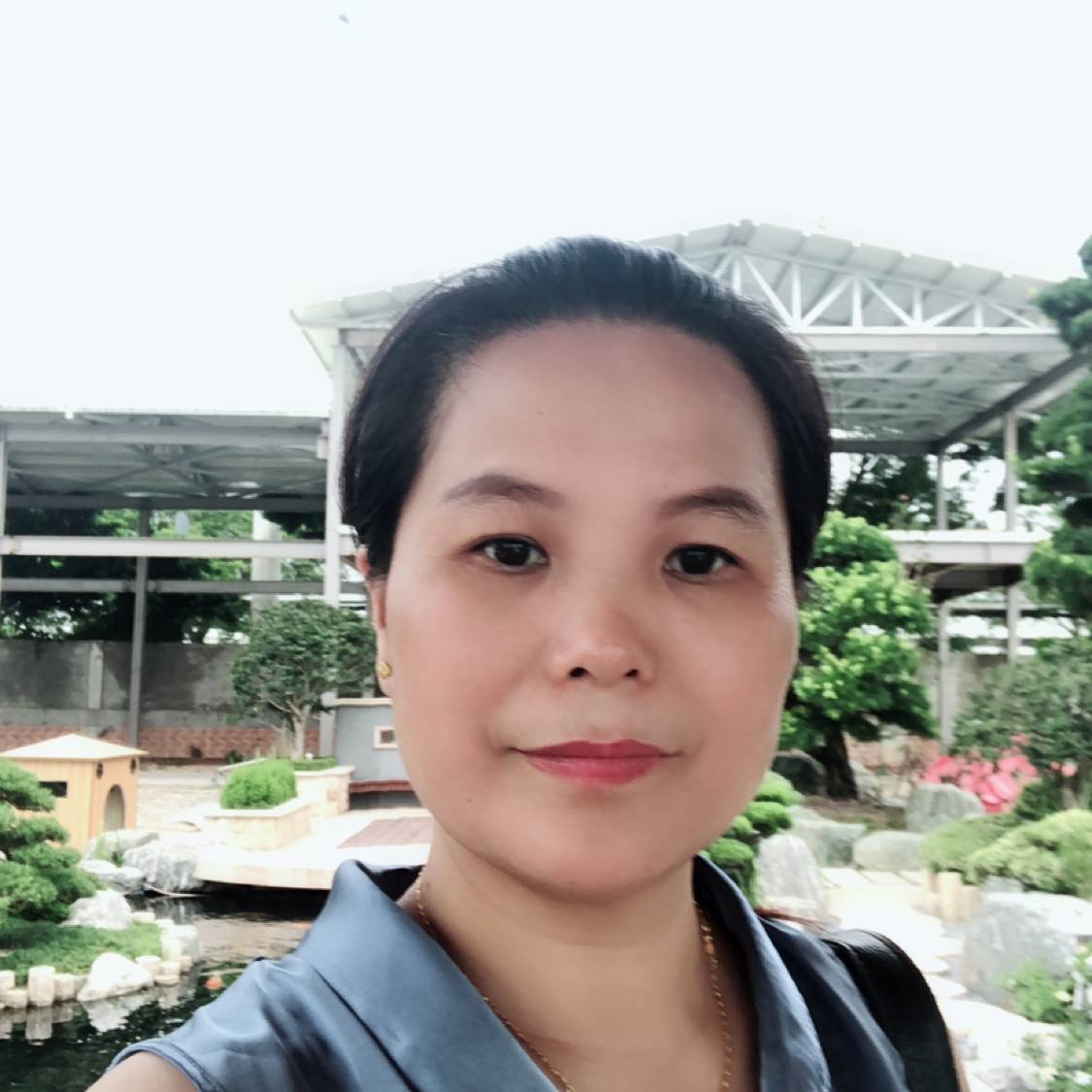 仙人掌端庄的照片