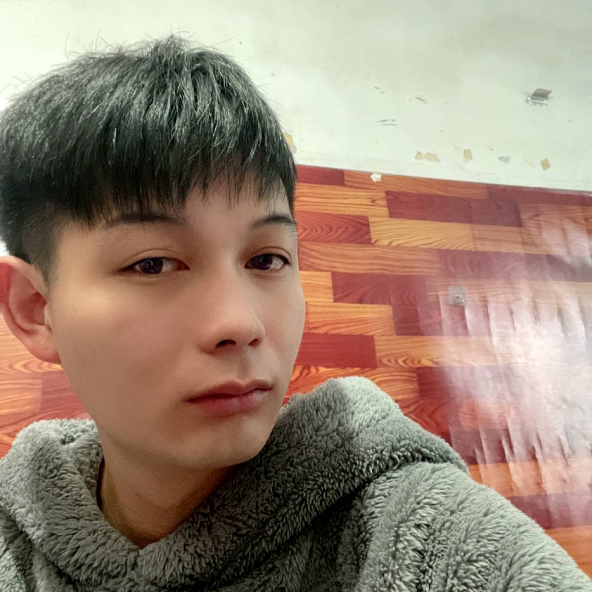帅气邂逅仙人掌的照片