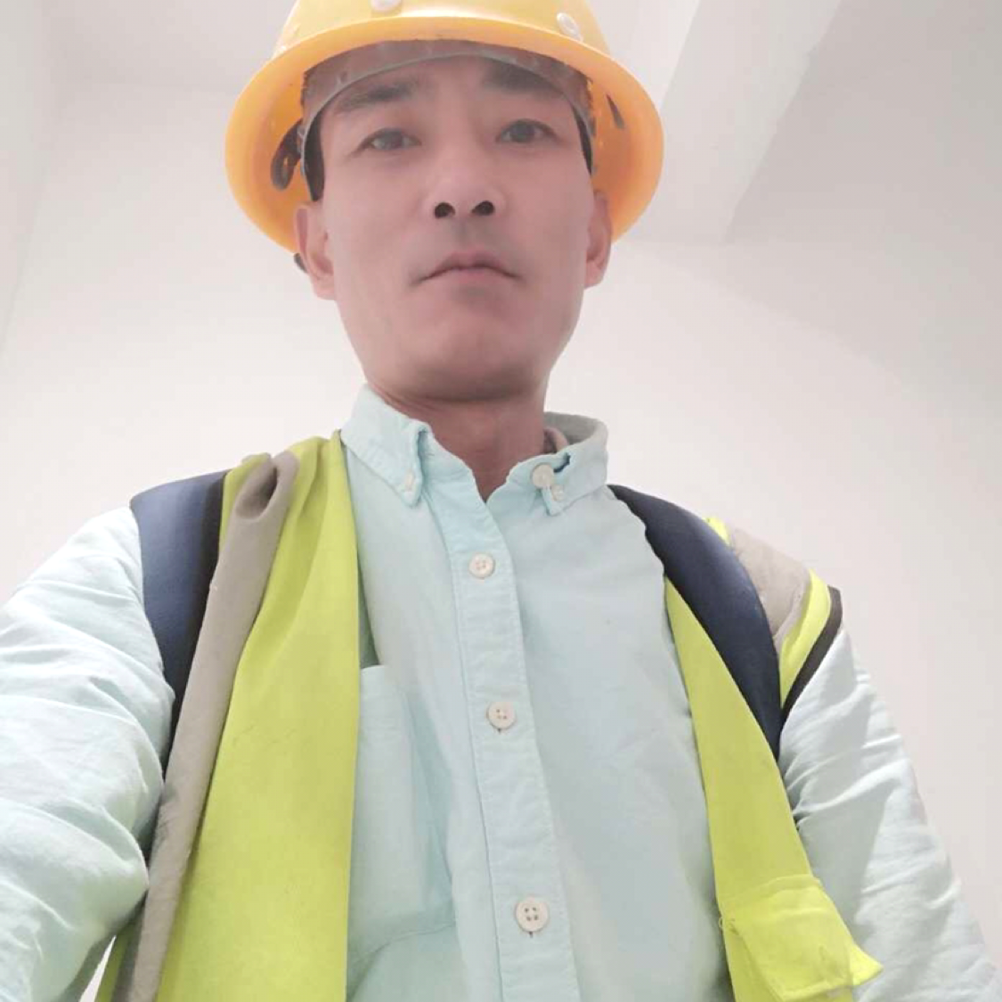 地球生物的照片
