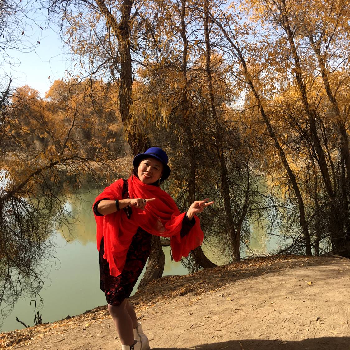 白猫演变文艺的照片