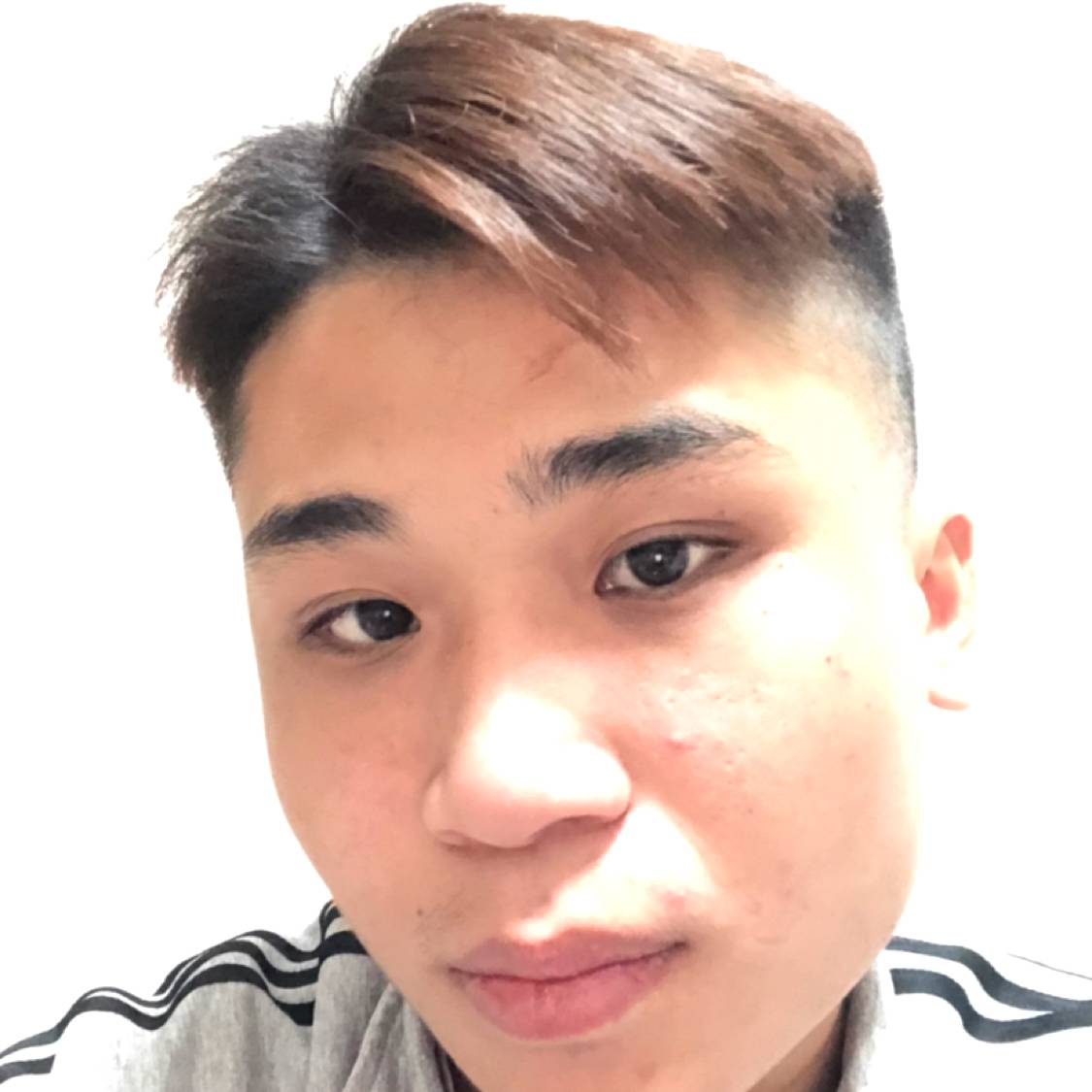 离歌给英俊的照片
