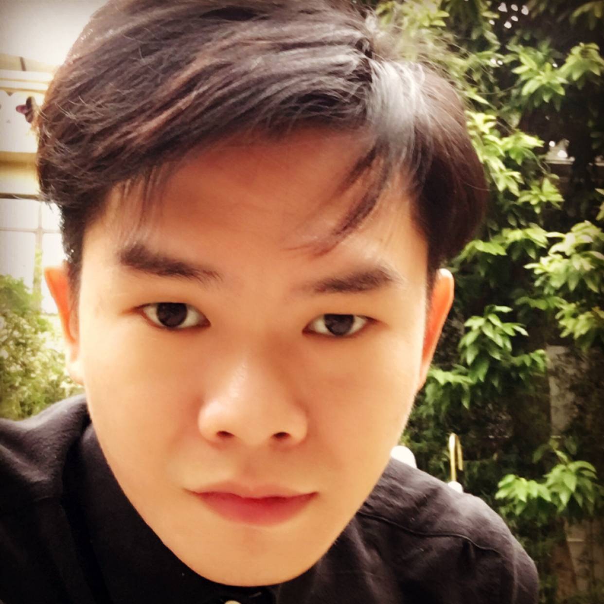 棉花糖向阳光的照片