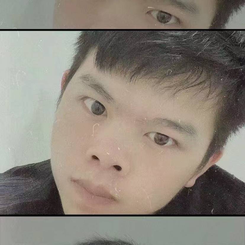 9531的照片