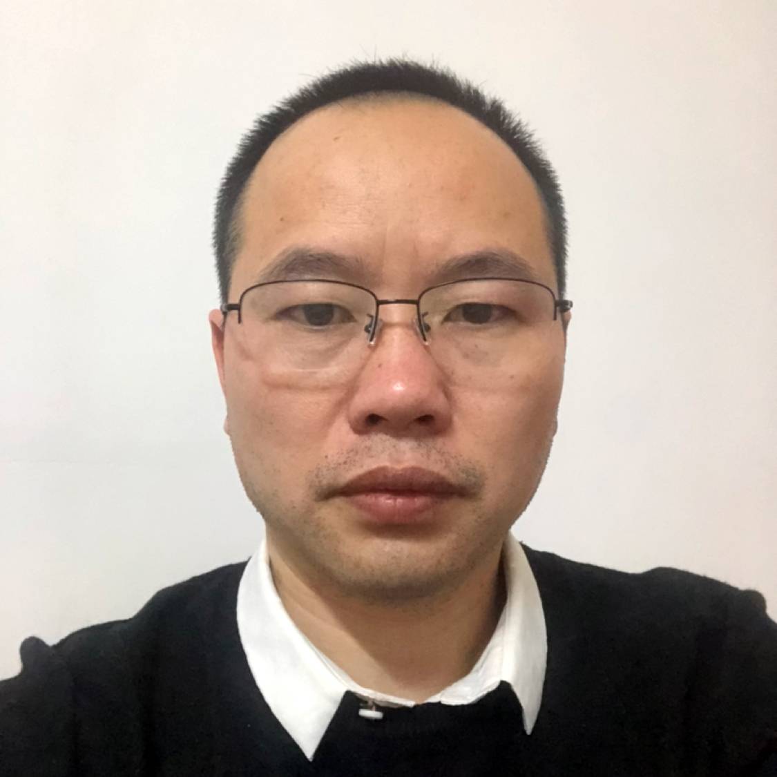 拉长回首小鸽子的照片