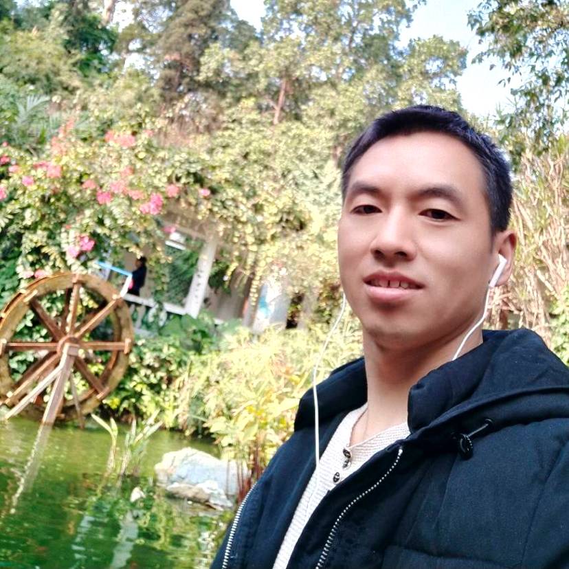 孤寒松的照片