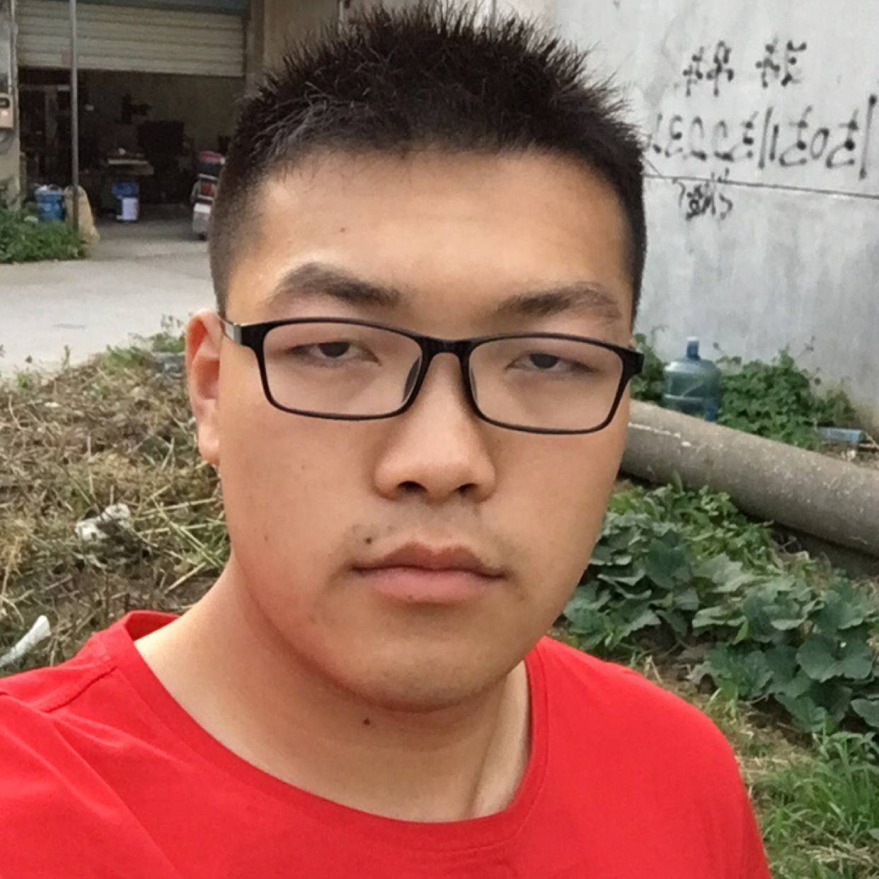 花痴停止冬瓜的照片