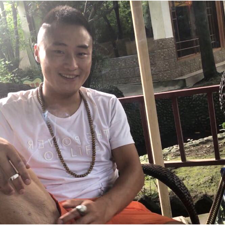 龙猫9的照片